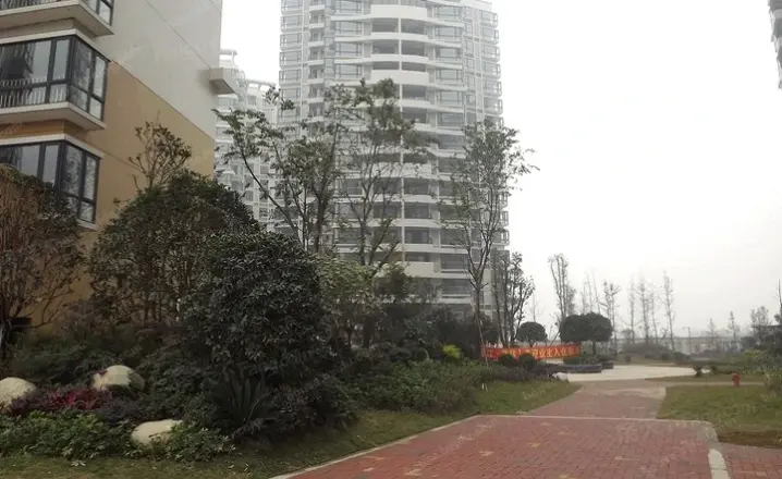 香江紫钻实景图