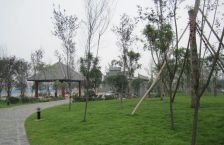 成都合院公园里 2室1厅 东