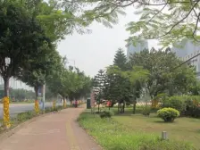 南沙城 2室1厅 东南 南 西南