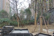 95平2居 南向简装修 自住保养好亏本降价,常州新北奥体中心典雅花园