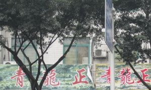浣花香3室1厅西南
