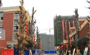 美林国际社区3室2厅南