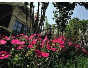 海高伦美林国际社区2室2厅南