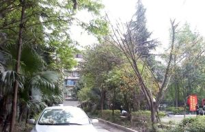 成大花园3室2厅南