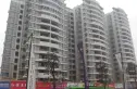 香江紫钻实景图
