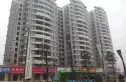 香江紫钻实景图