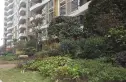 香江紫钻实景图