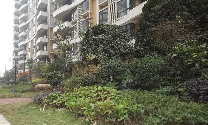 香江紫钻实景图
