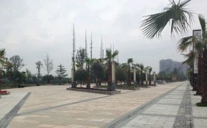 洲际亚洲湾A区3室2厅南北