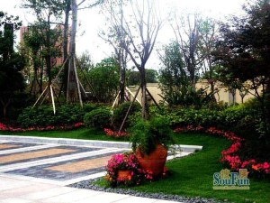 成功红树林2室1厅南