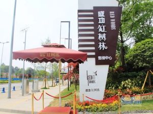 成功红树林3室2厅南