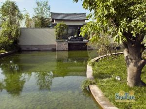 中国会馆 4室2厅 东南