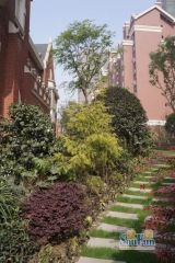 华宇天府花城 1室1厅 西北