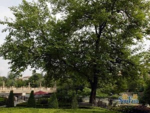 鹭湖宫八区E组团东区3室1厅东南