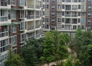 安澜骏景 3室1厅 西南