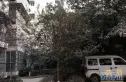 茂园实景图