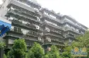 茂园实景图