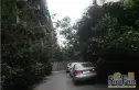 茂园实景图