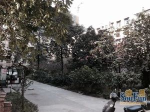 克拉玛依小区3室2厅东北