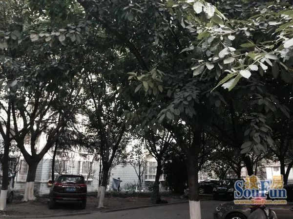 小区相关图