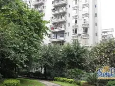 铜元局 芭蕉湾二房55万