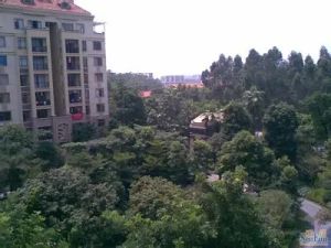 瑞荣大厦 居好地段 电梯实用三房 价比高 立买可住。