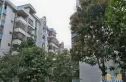 东咀商业城实景图