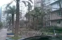 华文苑小区实景图
