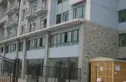 成都森林实景图