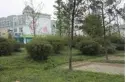 成都森林实景图