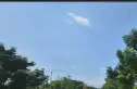 成都森林实景图