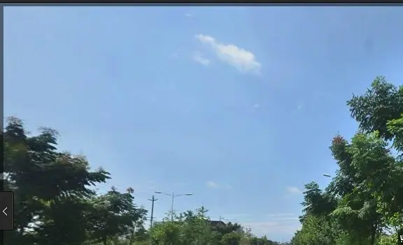 成都森林实景图