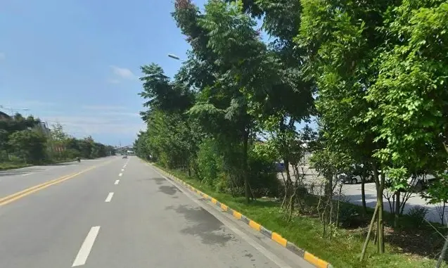 成都森林实景图