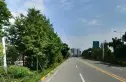 成都森林实景图