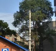 瑞联路49号1室1厅南