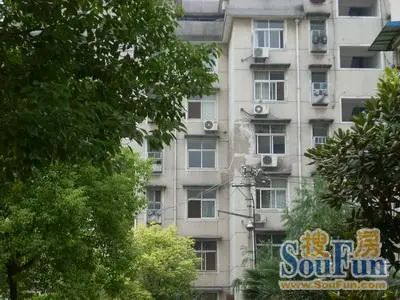 现代花园实景图