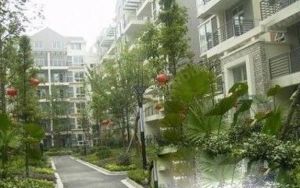 德坤汀城 3室1厅 东南