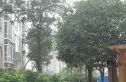 水城印象实景图