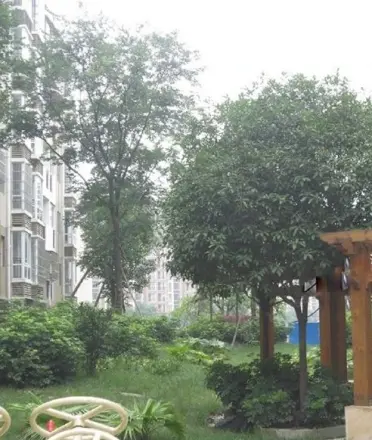 水城印象实景图