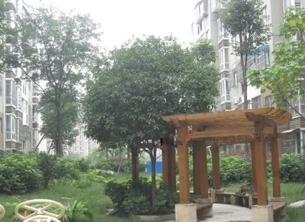 水城印象实景图
