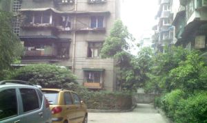 东篱路122号院2室1厅南