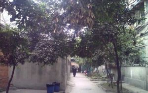 东篱路122号院2室1厅东