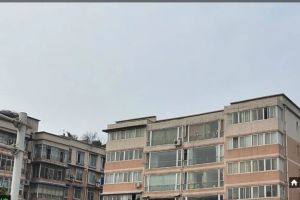 西华枫林3室2厅东南