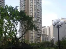 新上轻轨旁 巴国锦苑 刚需小户型