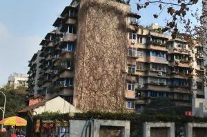 大学路12号2室1厅东南