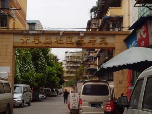 青春岛社区实景图