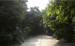 大石西路60号3室2厅南北