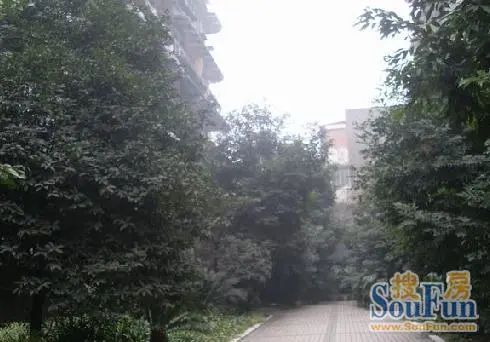  ��ʯ��·60��Ժ 