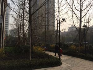 保利贝森公馆 4室1厅 南