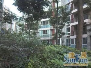 水韵金沙3室1厅东南